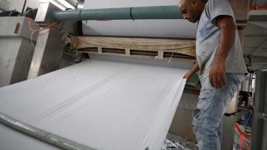 تصویر در فلسطین: تولید دستمال کاغذی از شاخ و برگ نخل