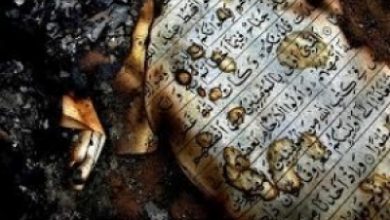 تصویر در حادثه”سوزاندن قرآن مجید”را در اتحادیه اروپا مطرح می‌کنیم