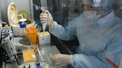 تصویر در تولید داروی کرونا ویروس در روسیه
