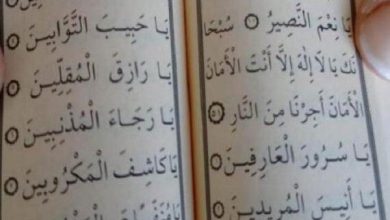 تصویر در مصادره ۳ هزار قرآن جعلی در فلسطین