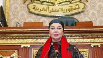 تصویر در پارلمان مصر در صدد افزایش مجازات همسر آزاری به ۵ سال حبس امل سلامه نماینده پارلمان مصر