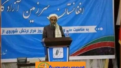 تصویر در ترور یک عالم دینی دیگر در افغانستان