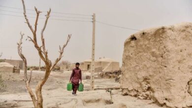 تصویر در هشدار نماینده خاش درباره تاثیرات مخرب خشکسالی بر مهاجرت از منطقه