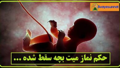 تصویر در حکم نماز میت بچه سقط شده….