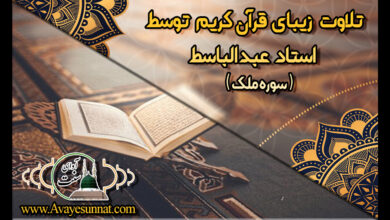 تصویر در تلاوت زیبای قرآن کریم توسط استاد عبدالباسط