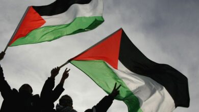 تصویر در ضرورت حمایت از فلسطین