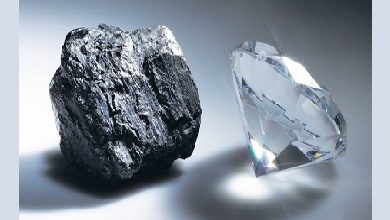 تصویر در از زغال تا الماس… فشارها انسان‌ساز است!