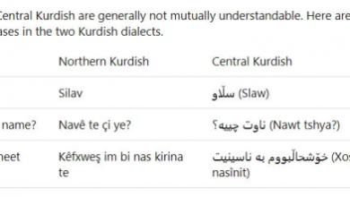 تصویر در مایکروسافت زبان کردی را به نرم افزارها و اپلیکیشن های خود افزود