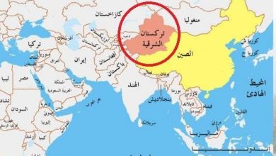 تصویر در سازمان ملل خواستار دسترسی به استان مسلمان‌‌نشین چین شد