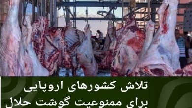 تصویر در تلاش کشورهای اروپایی برای ممنوعیت گوشت حلال