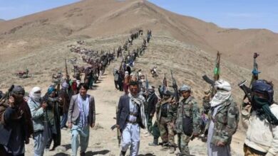تصویر در تلفات سنگین طالبان در دره پنجشیر