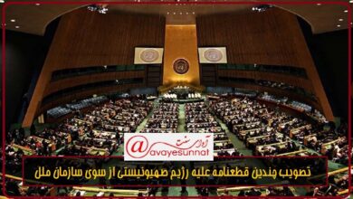 تصویر در تصویب چندین قطعنامه علیه رژیم صهیونیستی از سوی سازمان ملل
