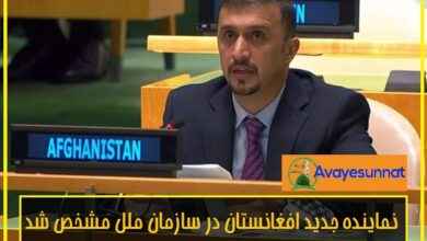 تصویر در نماینده جدید افغانستان در سازمان ملل مشخص شد