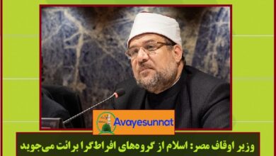 تصویر در وزیر اوقاف مصر: اسلام از گروه‌های افراط‌ گرا برائت می‌جوید