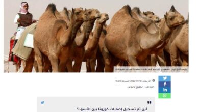 تصویر در  هشدار سعودی ها درباره آلوده شدن شترها به کرونا