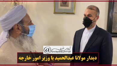 تصویر در مولانا عبدالحمید در دیدار با وزیر خارجه:صهیونیست ها در صدد اسلام هراسی و ایران هراسی هستند