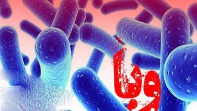 تصویر در علوم پزشکی کردستان: موارد مشکوک به وبا در مریوان در حال پیگیری است