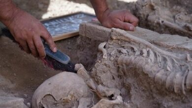 تصویر در کشف قبرستانی اسلامی در اسپانیا