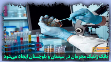 تصویر در بانک ژنتیک مجرمان در سیستان و بلوچستان ایجاد می‌شود